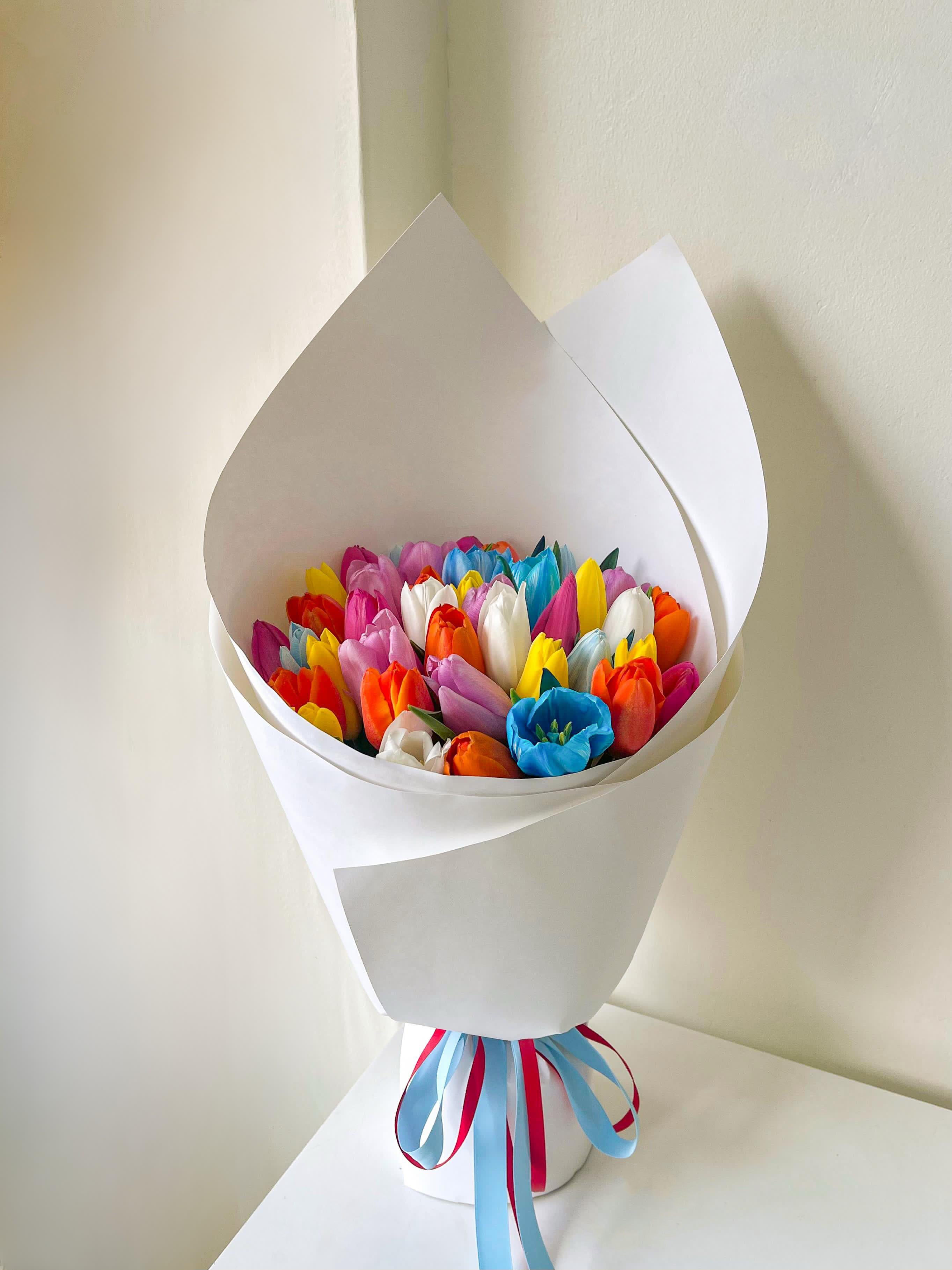 The Rainbow Tulip Spectacular